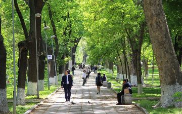 В Узбекистане ожидается спад температуры на выходных 