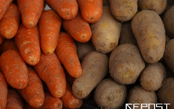 Специалисты зафиксировали резкий скачок цен на морковь в Узбекистане
