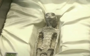 Мексиканский уфолог показал мумии «беззубых инопланетян» (видео)