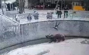В Ташкенте женщина зарезала дочь, которую три года назад сбросила в вольер к медведю