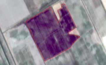 To‘rt oyda respublika bo‘ylab 27 ming gektardan oshiq dala maydonlari noqonuniy yoqib yuborildi