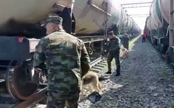 Сотрудники СГБ нашли наркотики в товарном поезде, ехавшем из Таджикистана