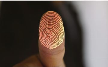Почему отпечатки пальцев уникальны у каждого человека?