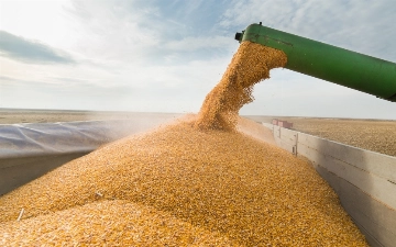 Казахстан ограничил экспорт пшеницы и муки