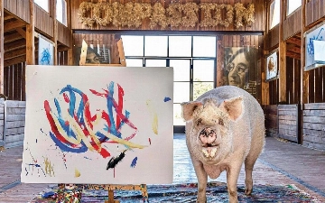 Умерла свинья-художник, заработавшая более $1 млн, рисуя абстрактные картины