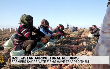 Фермеры из Узбекистана выступили против сельскохозяйственных реформ