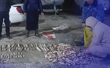 В Узбекистане поймали браконьеров, незаконно ловивших рыбу: ущерб составил почти 400 млн сумов