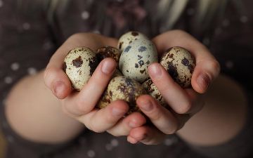 6 причин, почему вам стоит включить в свой рацион перепелиные яйца