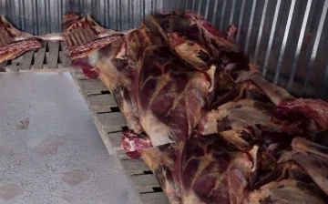 Житель Сырдарьи пытался провезти в Ташкент почти 3 тонны несъедобного мяса