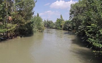 В Наманганском канале спасли тонущую женщину