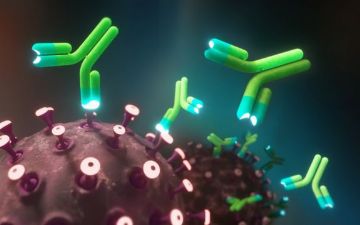 Эксперты назвали главные отличия антител у переболевших коронавирусом и привитых