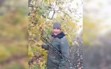 Узбекские мигранты устроили челлендж в ответ на призыв Алишера Кадырова обязать их выплачивать налоги 