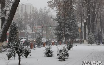 На выходных в Узбекистане ожидаются снег и заморозки