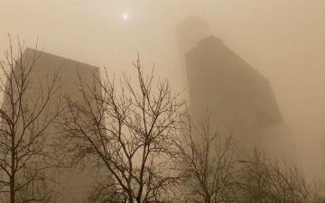 Названа главная причина пыльных бурь в Ташкенте