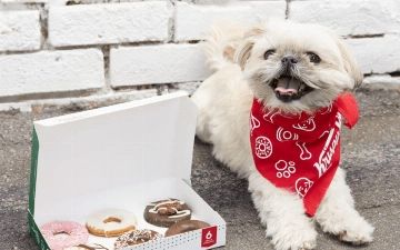 В Британии придумали пончики для собак – фото