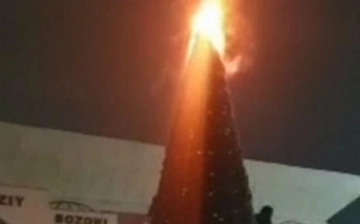 В Джизаке вспыхнула новогодняя ёлка — видео