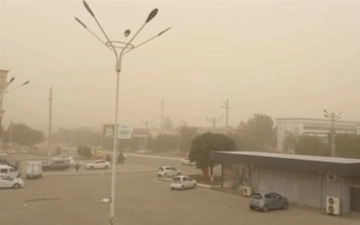 Пыльная буря накрыла три области Узбекистана (видео)