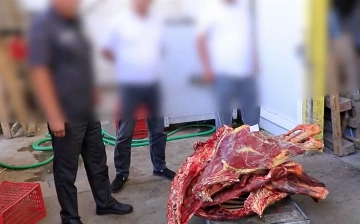 В Ташкент пытались провезти более 800 кг тухлого мяса (видео)