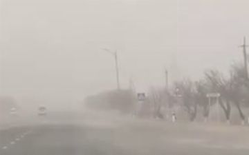 Узгидромет назвал фейковыми сообщения о пыльных бурях, наблюдавшихся в некоторых областях республики