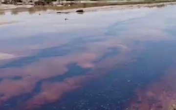 В Сурхандарье поток с примесью нефти попал в реку