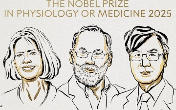 Нобелевскую премию по медицине присудили за открытия в сфере иммунной толерантности