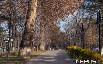 Воздух в Ташкенте на 28 февраля: уровень загрязнения превысил норму в пять раз