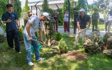 В Ташкенте высадили более 100 деревьев: бизнес подключается к решению экологических задач города