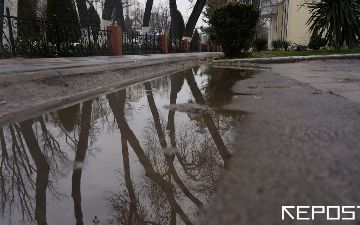 Ташкент приблизился к историческому «дождевому» рекорду