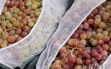 Назван регион Узбекистана, больше всего продающий фрукты и овощи за границу