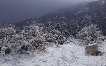 В областях Узбекистана выпал снег