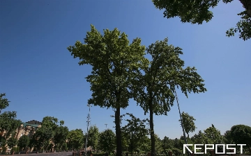 Воздух в Ташкенте на 21 августа: уровень загрязнения превысил норму почти в четыре раза