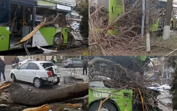 В Ташкенте неисправный автобус врезался в дерево, есть пострадавший