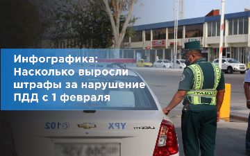 Инфографика: как изменились размеры автомобильных штрафов в Узбекистане с 1 февраля