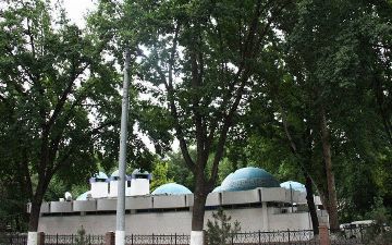 Госкомэкологии пообещал не вырубать деревья на бульваре «Голубые купола»