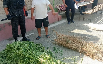 Jizzaxda 22,5 kg marixuanani saqlab kelgan shaxs aniqlandi