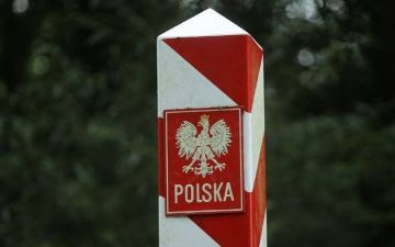Польша построит забор на границе с Беларусью из-за мигрантов