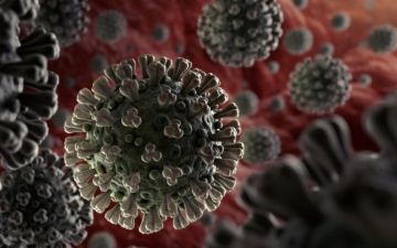 В Узбекистане за сутки выявили почти 600 новых случаев заражения коронавирусом — статистика
