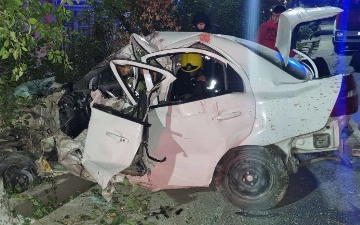 Под Ташкентом погиб водитель Nexia-3, влетев на скорости в дерево — видео