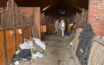 В одной из конюшен Ташкента издевались над лошадьми: животные умирали от голода (видео)
