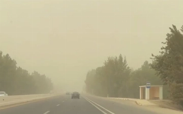 Эксперты объяснили, почему в Узбекистане возникают пыльные бури