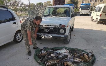 В Бухарской области поймали мужчину, наловившего рыбы из Красной книги на десятки миллионов сум