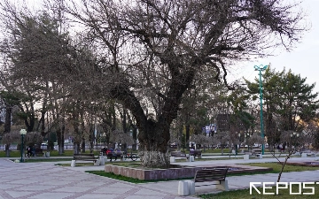 Синоптики рассказали, какая погода ждет узбекистанцев перед выходными