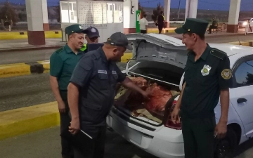 Из Карши в Ташкент пытались провезти тонну несъедобного мяса