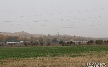 В Узбекистане признают права на самовольно захваченные земли и построенные на них здания