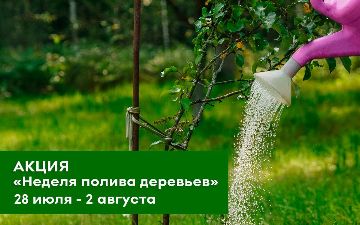 В Ташкенте пройдет акция «Неделя полива деревьев»