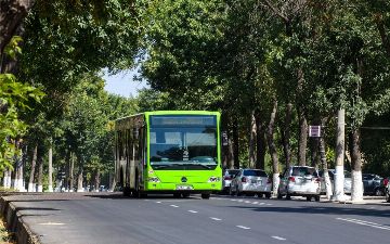 В Ташкенте запускают кампанию по борьбе с сексуальными домогательствами в автобусах