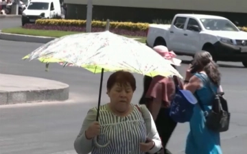 В Мексике количество жертв экстремальной жары превысило 150