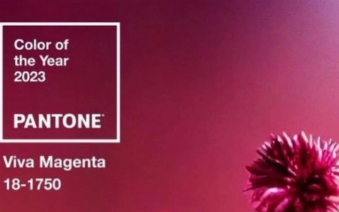 Pantone назвали главный цвет 2023 года