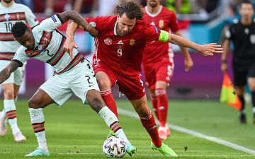 Капитан сборной Венгрии потерял сознание во&nbsp;время матча Евро с&nbsp;Францией - видео