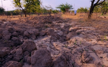 ООН: Мир ежесекундно теряет свыше 3 га пригодных земель